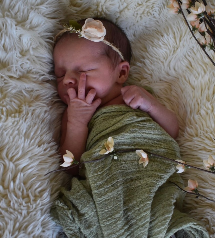 615F9039-8CC0-46A9-A0F6-DA9841DDA499